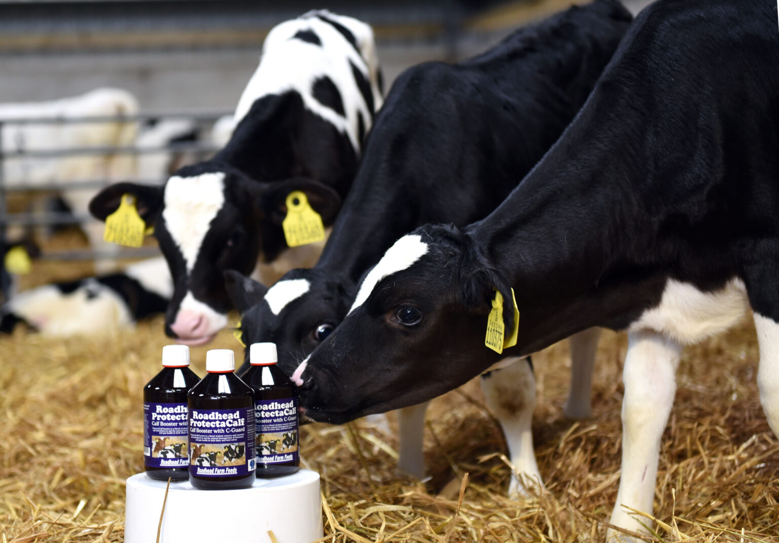 Roadhead ProtectaCalf Roadhead Farm Feed