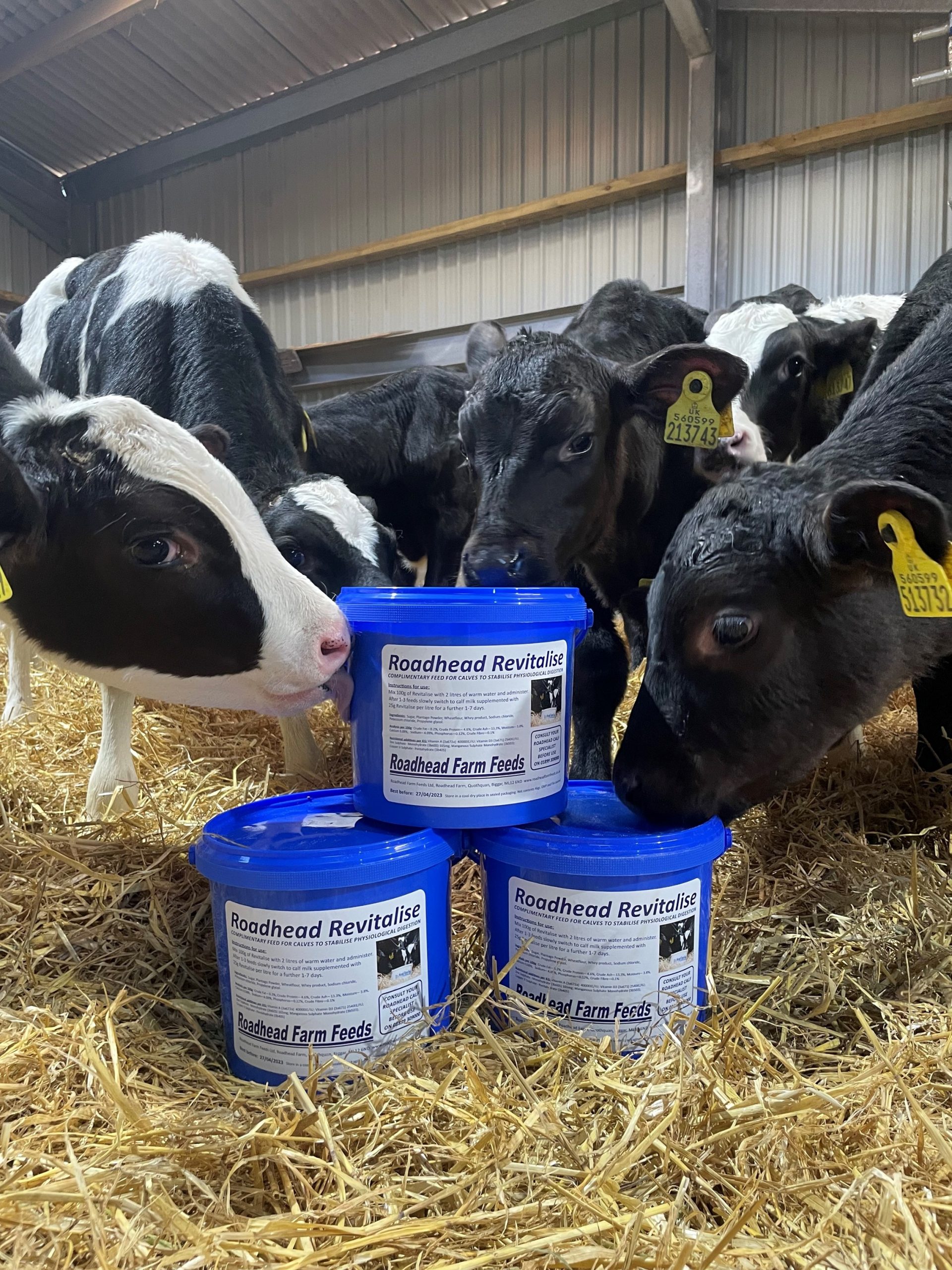 Roadhead Revitilise Roadhead Farm Feed