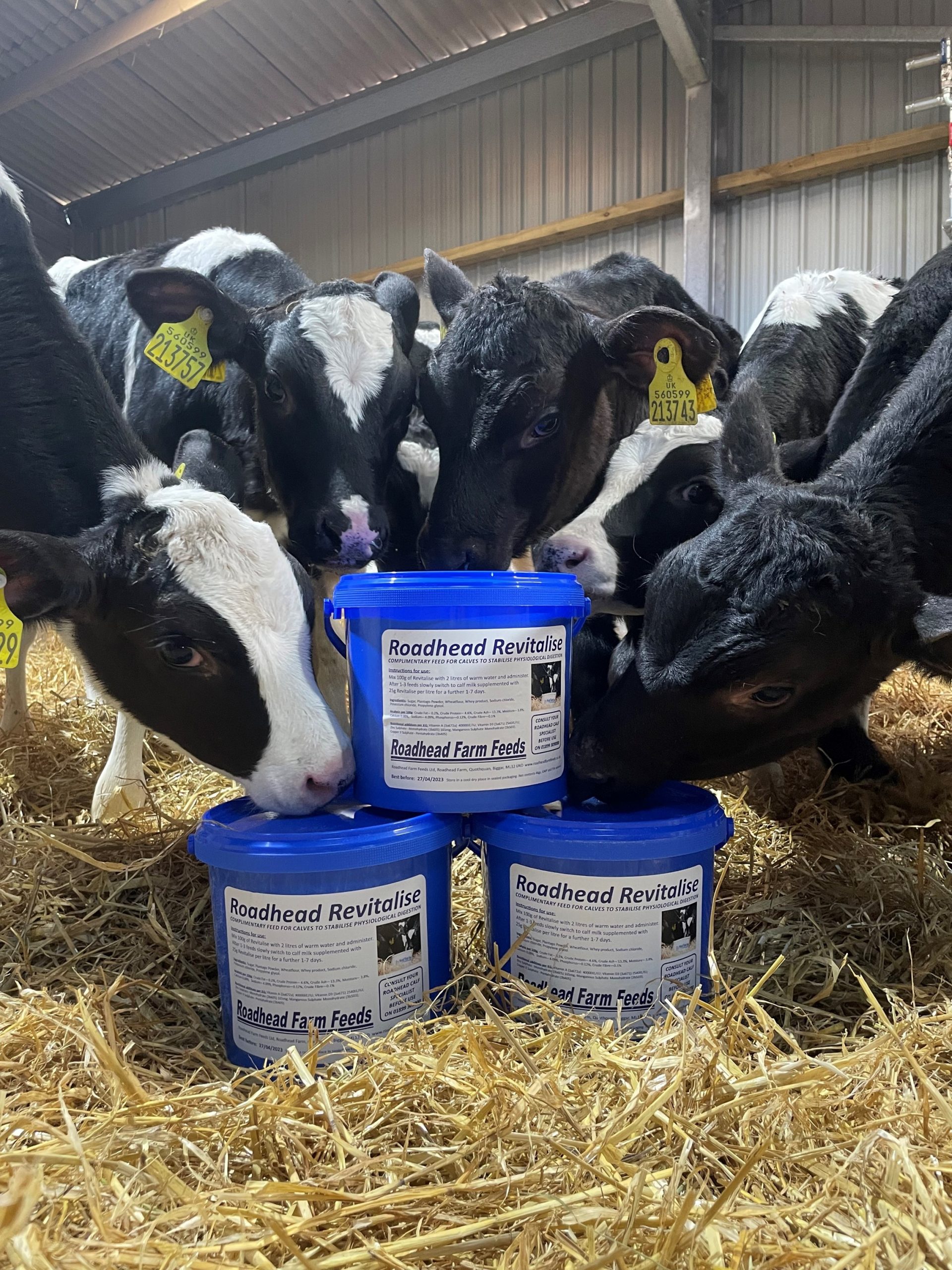 revitlise 1 Roadhead Farm Feed